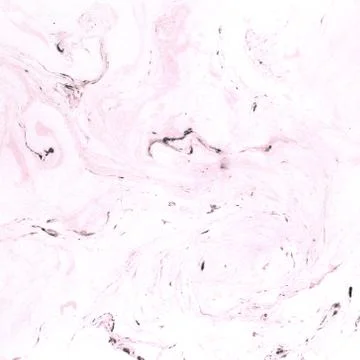 Marble texture Stock Illustration