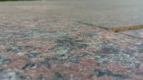 Marble texture outdoor. In the garden Vídeo Stock 109533657