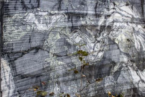 Marble texture Stock Photos