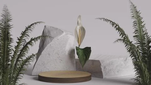 Marble texture table and green leaf wall product display background.3d Stock Photos