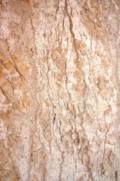 Marble tiles. Stock Photos