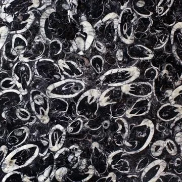 Marble wall Stock Photos