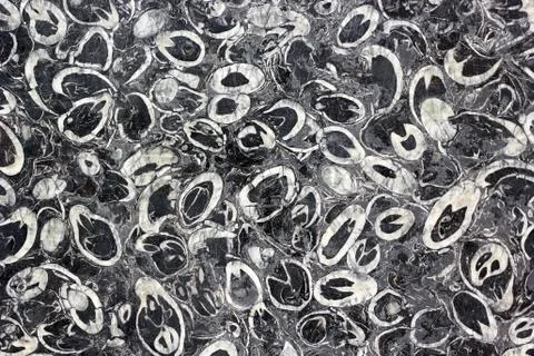 Marble wall Stock Photos