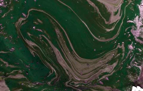 Marbled abstract background. Liquid marble pattern. Colorful marble backdrop Stock Illustration