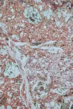 Marbled abstract background Stock Photos