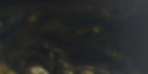 Marbled Marvels: A Visual Delight of Texture and Color in Liquid Art Stock Illustration