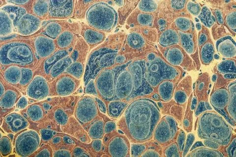 Marbled Paper Stock Photos