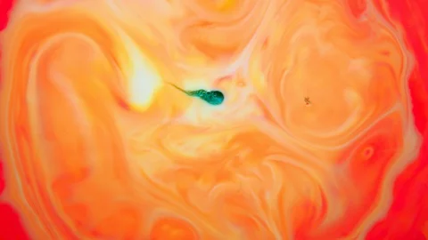 Marbling, multi-colored swirled, stone-like patterns. Ink bloom, paint explosion Stock-Footage 126362598
