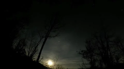 March 21st Full Moon Rising Over Silhouetted Trees Stock Footage 346206241