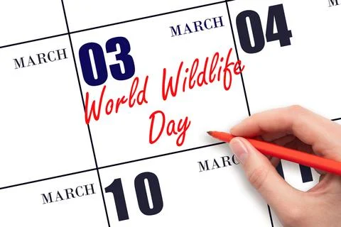 March 3. Hand writing text World Wildlife Day on calendar date. Save the date Stock Photos