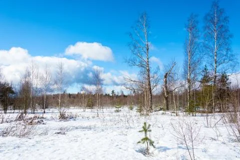 The March beautiful scenery. Stock Photos