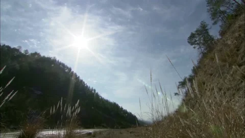 March at dusk Stock Footage 235267309