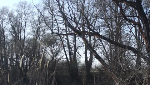 March,  lake Video stock 35970898