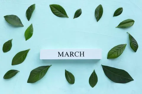 March month of spring. March text on white wood block and green leaf  Stock Photos