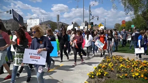 March For Our Lives Stock Footage 87621515