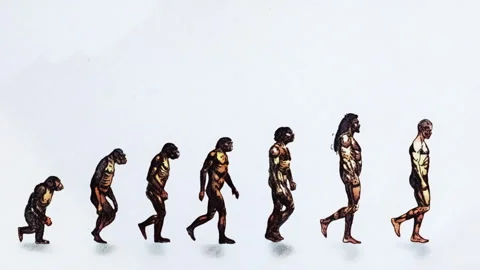 March of Progress  - Evolutionary Progress Stock Footage 287238733
