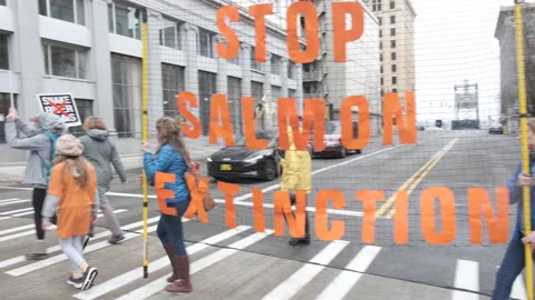 March to Remove Snake R Dams Arrives at Local Reps Offices, Tacoma WA 3/26/22 4K Stock Footage 197010817