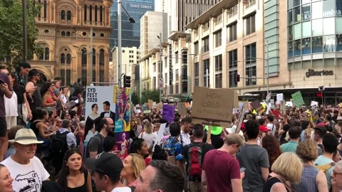 March in Townhall Stock Footage 138999355