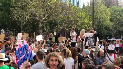 March in Townhall Stock Footage 139001962