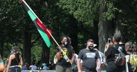 March on Washington 2020 Stock Footage 138239272