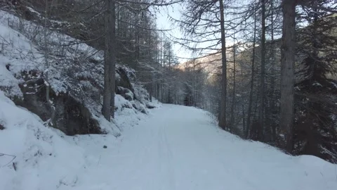 Marche dans la neige Stock Footage 230302195