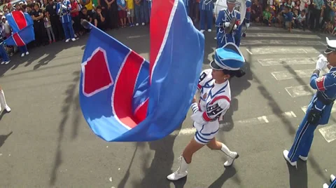 Marching Flag Waver Stock Footage 34195320