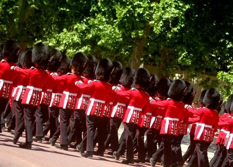 Marching Guardsmen Stock Photos