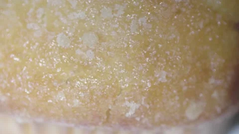Marco of a Blueberry Muffin Stock Footage 172326131