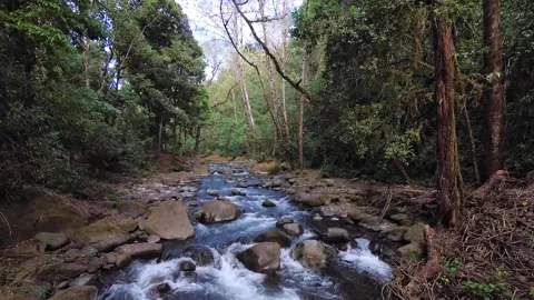 Marco Diaz Stock Footage 135615424