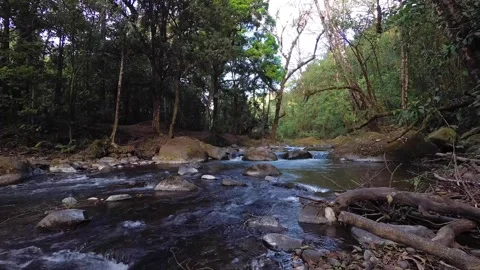 Marco Diaz Stock Footage 135615521