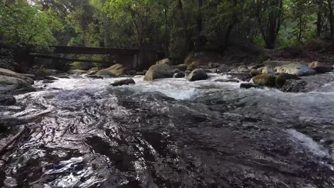 Marco Diaz Stock Footage 135615680