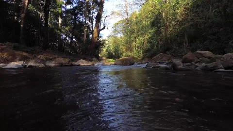 Marco Diaz Stock Footage 135615835