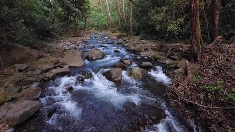 Marco Diaz Stock Footage 135616004