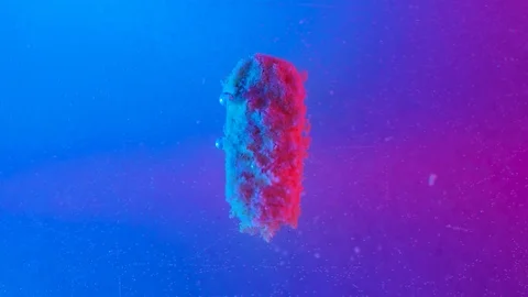Marco shot pill dissolves in multi-colored water 库存影片 97200510