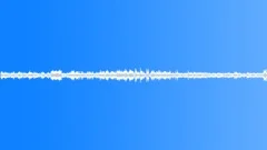 Mardi Gras Ambient sounds at Parade Sound Effect