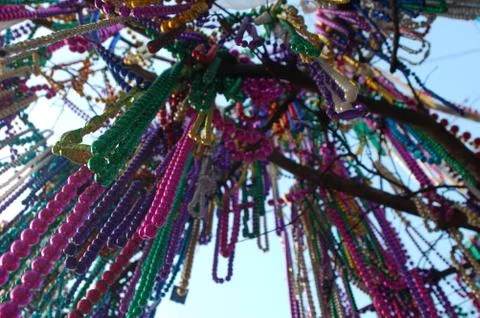 Mardi Gras Parade Float Stock Photos