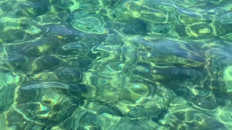MARE 1 Stock Footage 234347045