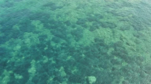 Mare Azzurro e Cristallino a Torre La Punta – Meraviglie del Cilento, Campania 動画素材 314452579