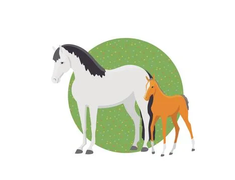Mare with a foal in a summer meadow Stock Illustration