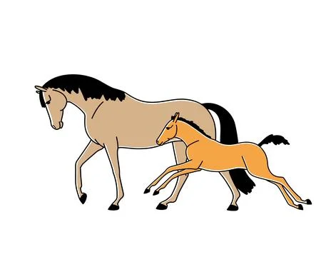 Mare with a fool during a walk Stock Illustration