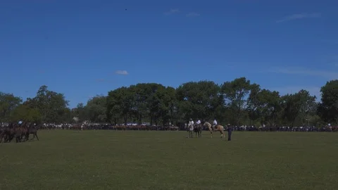 A Mare Guided by a Gaucho Commands a Complete Heard of Horses, Argentina Видео 99308670