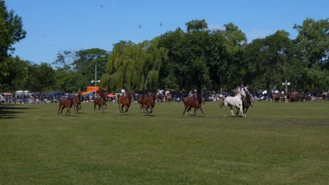 A Mare Guided by a Gaucho Commands a Complete Heard of Horses, Argentina Видео 99311685