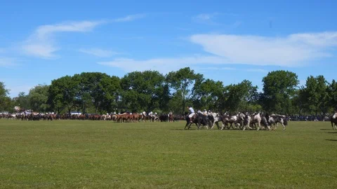 A Mare Guided by a Gaucho Commands a Complete Heard of Horses, Argentina Видео 99311742