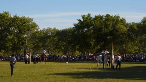 A Mare Guided by a Gaucho Commands a Complete Heard of Horses, Argentina Видео 99312623