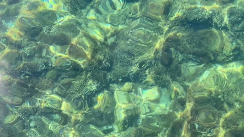 MARE mp4 Stock Footage 234347051