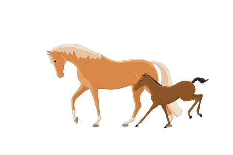 Mares with foals on a walk Stock Illustration