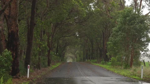 Margaret River tree lined road raining in slow motion Stock Footage 204749525