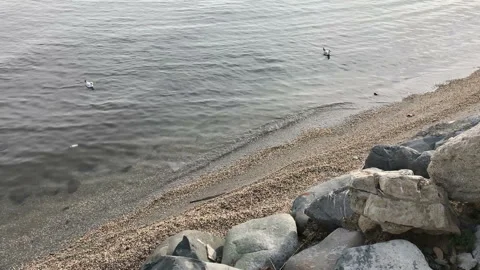 Margin 動画素材 86794493