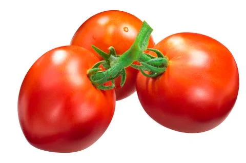 Marglobe tomatoes on the vine Stock Photos