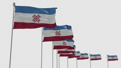 Mari El Row Of Flags Animation Include Alpha Channel  Stock-Footage 163336398